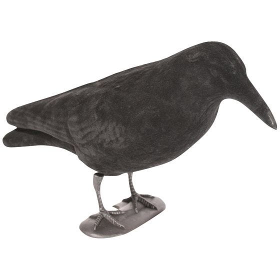 Jack Pyke Lockkrähe beflockt