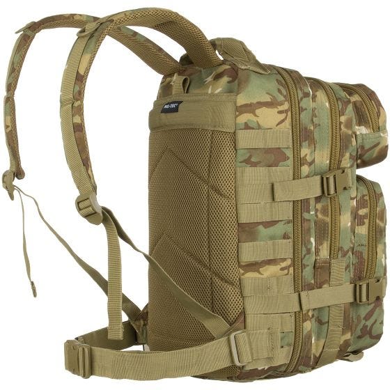 Mil-Tec US Assault Pack Small Einsatzrucksack mit MOLLE-Befestigungssystem Arid Woodland